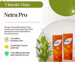 Netra Pro