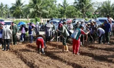 Pemkab Malinau Sulap Lahan Tidur Jadi Kawasan Produktif Jagung dan Pangan