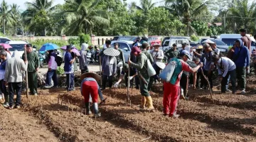 Pemkab Malinau Sulap Lahan Tidur Jadi Kawasan Produktif Jagung dan Pangan